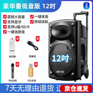 先科廣場舞音響專業(yè)戶外k歌音箱帶話筒家用拉桿藍牙手拉麥克風 12吋+單話筒+U盤