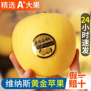 維納斯黃金蘋果水果新鮮當(dāng)季正宗山東大果甜奶油冰糖心丑蘋果禮盒 A+大果【5斤裝】