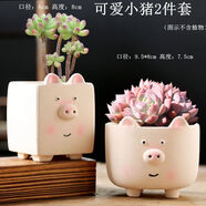 潤華年2023可愛(ài)動(dòng)物卡通多肉陶瓷肉肉植物花盆簡(jiǎn)約小盆批發(fā) 可愛(ài)小豬2件套