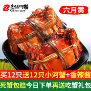 【活蟹】盤錦河蟹盤錦稻田蟹六月黃鮮活大閘蟹螃蟹生鮮禮盒裝 0.9-1.2兩12只送小蟹12只