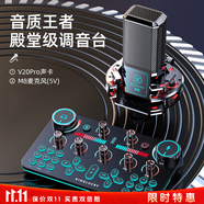 金運 V20聲卡直播設備全套麥克風(fēng)錄音套裝話(huà)筒唱歌手機藍牙電腦無(wú)線(xiàn)變聲器電容麥全民K歌抖音快手 入門(mén)級【聲卡全套+振膜麥】-免調試
