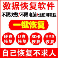 電腦硬盤數(shù)據(jù)恢復(fù)遠(yuǎn)程服務(wù)優(yōu)盤sd卡內(nèi)存卡相機卡移動盤格式化誤刪除U盤視頻照片文件 紅色