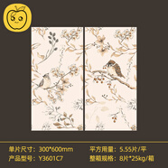 蘋(píng)果精靈300x600娘惹花磚衛生間瓷磚法式復古廚房墻磚浴室南洋風(fēng)植物藝術(shù) Y3601C7 混裝