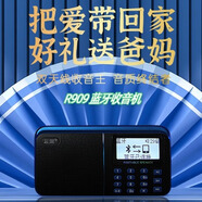 樂果（NOGO） R909便攜式插卡音箱藍牙音箱 可插U盤老人雙波段收音機 校園廣播低音炮大屏大字 藍黑 R909升級藍牙版標配