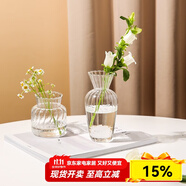 川島屋透明玻璃小花瓶擺件客廳插花干花水養(yǎng)網(wǎng)紅ins風玻璃瓶 玻璃花瓶(矮款)