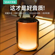 索愛(ài)（soaiy）S58藍(lán)牙音箱電腦音響重低音炮無(wú)線(xiàn)喇叭車(chē)載迷你桌面U盤(pán)戶(hù)外炫彩小便攜游戲收款 黑色