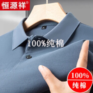 恒源祥純棉短袖T恤男士2025夏季polo.衫翻領(lǐng)純色寬松休閑中年體恤上衣男 M89605短 袖天藍|純棉100%品牌旗艦款 2XL 180 建議150-165斤 高檔品牌男裝