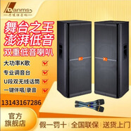 丹嘜仕 DM-220,DM-222,DM-252專業(yè)大型舞臺音響套裝 演出大功率KTV 對箱戶外有源音箱設備 DM -252(雙15寸音響一對）