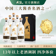 武陵酒 【商務(wù)送禮】琥珀升級(jí)版 53度醬香型白酒  純糧釀造 宴請(qǐng)收藏 53度 1000mL 6瓶 （整箱裝）