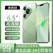 512G大內(nèi)存5G通雙卡雙待驍龍旗艦游戲大屏學(xué)生老人機(jī)大電池長續(xù)航 香頌綠【旗艦八核處理器】 12G+256G【官方標(biāo)配】