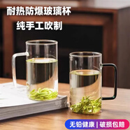 明信唐玻璃杯大容量水杯清新簡約家用耐熱泡茶杯創(chuàng)意潮流情侶杯 透明色+湖綠色 380ml 2只