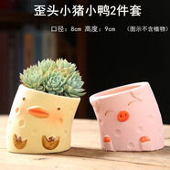 潤華年2023可愛(ài)動(dòng)物卡通多肉陶瓷肉肉植物花盆簡(jiǎn)約小盆批發(fā) 歪頭小豬小鴨2件套