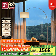 Paulmann P 德國柏曼客廳釣魚(yú)燈 簡(jiǎn)約ins風(fēng)客廳臥室柔光落地燈 【智能版 流光銀】智能調控