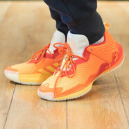阿迪達(dá)斯（adidas）籃球鞋男鞋2025年夏季新款戶外緩震運(yùn)動(dòng)鞋實(shí)戰(zhàn)訓(xùn)練鞋子休閑鞋 IF3827/羅斯 39 (240mm)