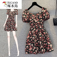 啄木鳥(niǎo)小個(gè)子收腰顯瘦氣質(zhì)冰絲連衣裙女2025新款短裙子女夏季感小黑裙 6622玫瑰碎花 L 建議105斤左右