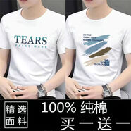 鴻星短袖t恤男2024新款夏季純棉潮流休閑衣服圓領(lǐng)潮牌上衣半袖男 TEA白+彩畫(huà)白【純棉兩件裝】 L建議110斤-125斤