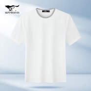 七匹狼（SEPTWOLVES）短袖t恤男裝夏季新品桑蠶絲涼感凈色百搭圓領(lǐng)透氣男士夏裝體恤衫 803(本白) 185/100A/3XL