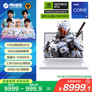 機械革命【國家補貼20%】極光X 酷睿i9HX 游戲本筆記本電腦(i9-14900HX 32G 1T RTX5070 2.5K屏 300Hz 白)