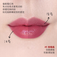 肌膚之鑰（Cle de Peau）日本CPB/肌膚之鑰2024年夏季新品金管晶鉆光鍛滋潤口紅/唇膏 05 紫水晶-整套