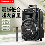 紐曼N509廣場(chǎng)舞音響大功率擴音器戶(hù)外大音量移動(dòng)便攜式家用手提藍牙音箱演出k歌地攤擺攤喇叭帶麥克風(fēng)