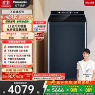 松下（Panasonic）【吳磊推薦】波輪洗衣機全自動12公斤大容量除菌除螨羽絨內衣洗衣機彩屏 國家補貼20% 不彎腰U2F1
