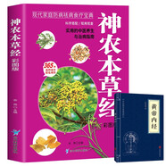 神農本草經+黃帝內經（全2冊）中醫(yī)藥學典藏彩色圖鑒實用的現代家庭養(yǎng)生全書