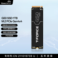 十銓科技G50 SSD固態(tài)硬盤1T 2T M.2 NVMe PCIe4.0 2280 臺式筆記本ps5 讀速5000MB/s石墨烯散熱片 鎖定主控 【TLC】1TB PCIe4.0 石墨烯散熱片