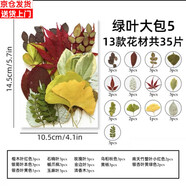 森邂禮干花書簽手工diy材料瓶子里的春天收集冊(cè)透明樹葉標(biāo)本塑封膜粘貼畫玻璃制作教學(xué)標(biāo)本收集秋天 樹葉綠葉大包35片