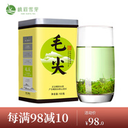 峨眉雪芽 毛尖茶葉 峨眉山高山綠茶自飲罐裝 100g