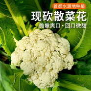 密農(nóng)人家農(nóng)家自種散菜花 新鮮菜花 脆嫩花菜 每日現(xiàn)采花椰菜 時令蔬菜500g