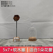 軟木塞玻璃罩展示盒diy玻璃瓶干 干燥花相框保存瓶收納永生花防塵 5x7+軟木塞[適合1朵玫瑰花蕾]