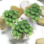 魚(yú)缸造景凈化水質(zhì)肚兜萍水浮萍槐葉萍懶人水草一葉蓮浮萍養魚(yú)龜水 肚兜萍1棵（?。?
                                         title=