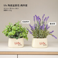 浣熊日記客廳擺設防真花餐桌花擺花茶幾假花仿真花花束裝飾花茶幾裝飾擺件 兩件裝小葉子薰衣草