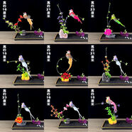 文手酒店意境菜品冷菜盤飾餐飲刺身擺盤裝飾花草高檔盤花壽司點(diǎn)綴花 套餐三[9款均帶小鳥]