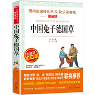 中國兔子德國草/周銳作品兒童文學(xué)名著(zhù)閱讀