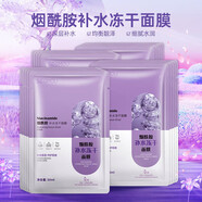施逅煙酰胺 補水凍干面膜隱形面膜片裝補水鎖水勻凈膚色淡化痘印貼片 煙酰胺凍干面膜10片 裝