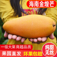 海南金煌芒水仙芒果9斤新鮮熱帶水果應(yīng)當季現(xiàn)摘大青甜心芒整箱 9斤 精選大果【300-400g】