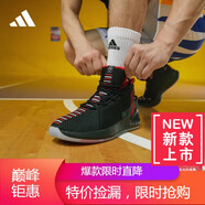 阿迪達(dá)斯 （adidas）羅斯9代GEEK UP男子簽名版專業(yè)籃球鞋EE6846 黑/紅 43 (265mm)