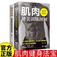 速效拉伸肌肉健美訓(xùn)練圖解德拉威爾肌力量 運(yùn)動(dòng)解剖學(xué)圖譜健身書籍教程大全私人教練徒手精準(zhǔn)拉伸訓(xùn)練體能三角肌訓(xùn)練書運(yùn)動(dòng)健身減脂 肌肉健美訓(xùn)練圖解+速效拉伸