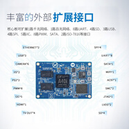 A40i ARM開發(fā)板linux安卓系統(tǒng)Cortex-A7 a40 i核心嵌入式 10.1寸電容屏1280*800 OKA40i-C工業(yè)級1G