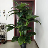 仿真綠植假樹發(fā)財樹落地盆栽大型客廳盆景假花塑料花裝飾仿真樹 2米綠巨人+盆+草