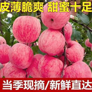 【農民自己賣】正宗紅富士蘋果當季新鮮冰糖心蘋果水果一整箱批發(fā) 顆顆爆甜凈重4.5斤裝小果50-60mm