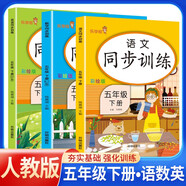 套裝3冊(cè) 2025春小學(xué)同步訓(xùn)練五年級(jí)語(yǔ)文數(shù)學(xué)英語(yǔ)下冊(cè)人教版 小學(xué)課本教材同步訓(xùn)練課時(shí)作業(yè)本隨堂作業(yè)本練習(xí)冊(cè)一課一練必刷題天天練
