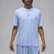 耐克（NIKE） AJ短袖男2023春季新款AIR JORDAN運動(dòng)上衣圓領(lǐng)透氣T恤飛人半袖潮 DH8922-425 M