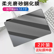優(yōu)亦珩 適用一加平板pro磨砂鋼化膜opd2401電腦12.1英寸電競游戲1加pad pro防指紋保護貼膜por玻璃貼 【磨砂鋼化膜-1片裝】柔光紙感畫面 一加平板 Pro (12.1英寸)