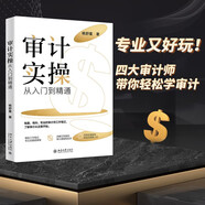 審計(jì)實(shí)操?gòu)娜腴T(mén)到精通