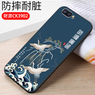 億博睿適用r11pluskt手機(jī)殼OPPOR11Plus軟殼opopr11plus女卡通r11puls硅膠套r11p全包防摔ooppr11plus膜 財(cái)源(軟殼)單殼 oppoR11PLus