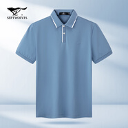 七匹狼（SEPTWOLVES）短袖t恤男裝夏季新品翻領(lǐng)polo打底衫薄款透氣【桑蠶絲】涼感短T 113(淺藍(lán))6583款 180/96A/2XL