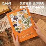 卡杰2025年日程本a4工作小秘書(shū)年月歷記事本行事歷效率手冊(cè)帶日歷的筆記本桌面大號(hào)每月打卡計(jì)劃表定制 熱烈橙暴（自填式無(wú)年限）