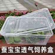 沃繡 蠶寶寶當天發(fā)貨 蠶寶寶活體蠶卵小蠶彩色蠶桑葉新鮮桑葉養(yǎng)蠶套裝 養(yǎng)蠶用透氣飼養(yǎng)盒